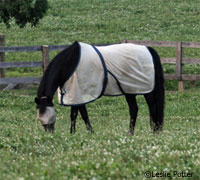 Fly mask and fly sheet