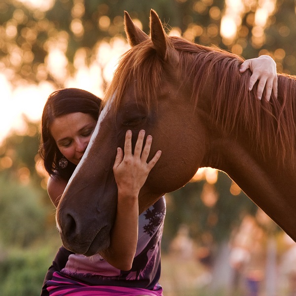 Hug a Horse