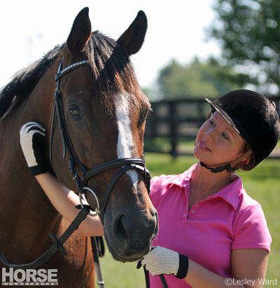 Horse and human bond