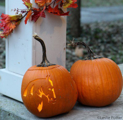 Horse Jack O Lantern