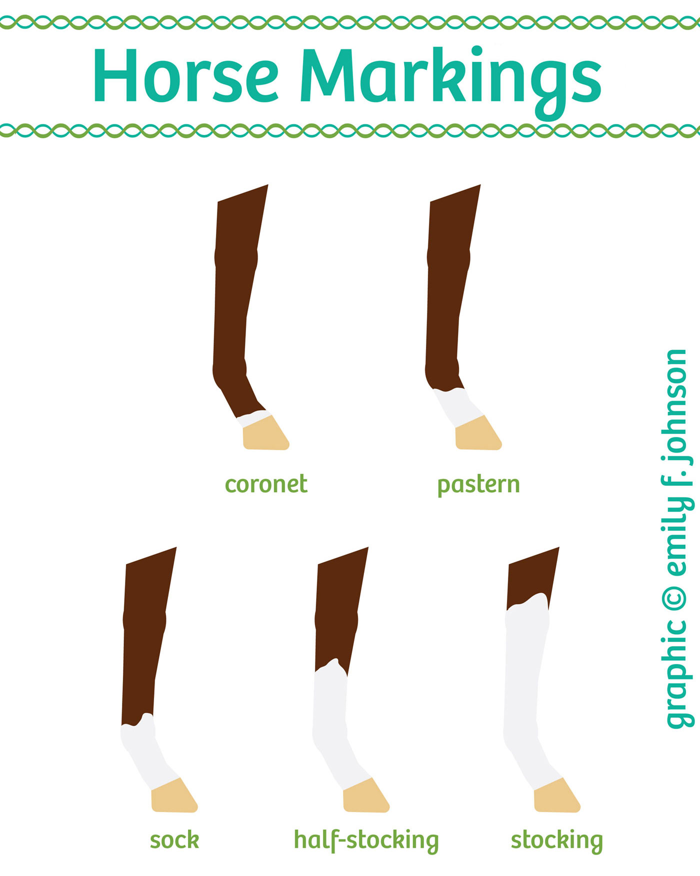 Aqha Markings Chart