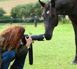 Horse photographer