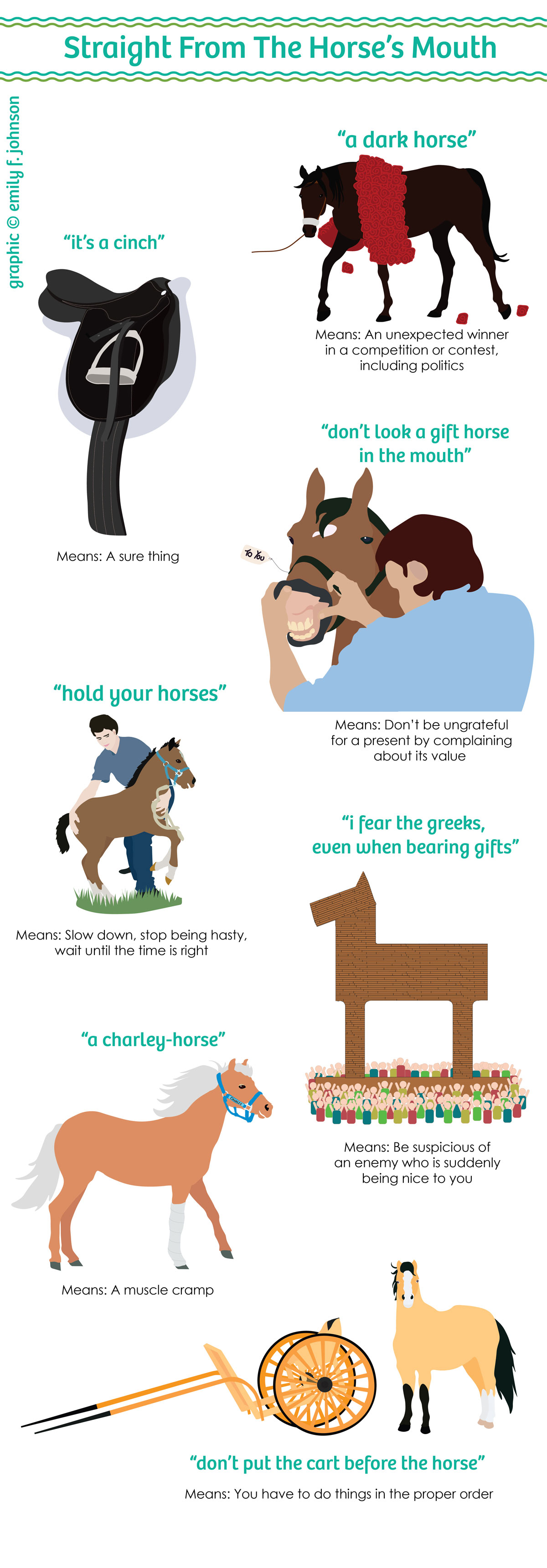 Horse Phrases Infographic