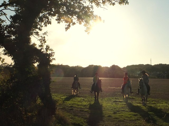 Riding Lessons