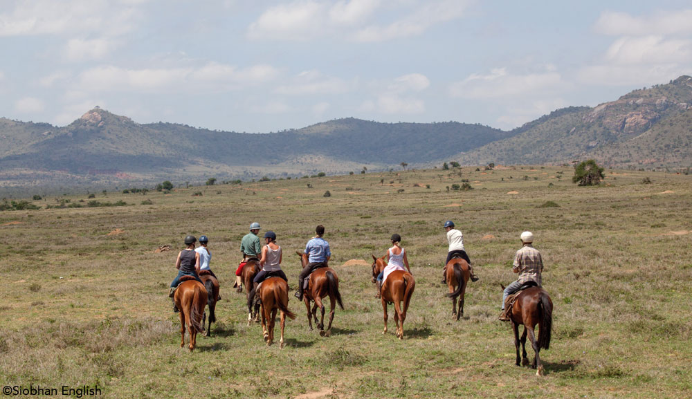 Horseback safari