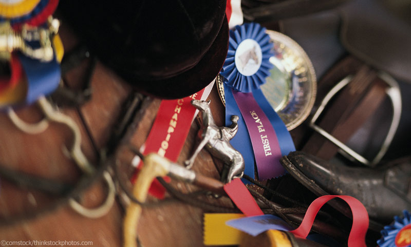 Horse Show Clutter