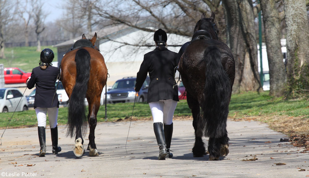 Horse Show Friends