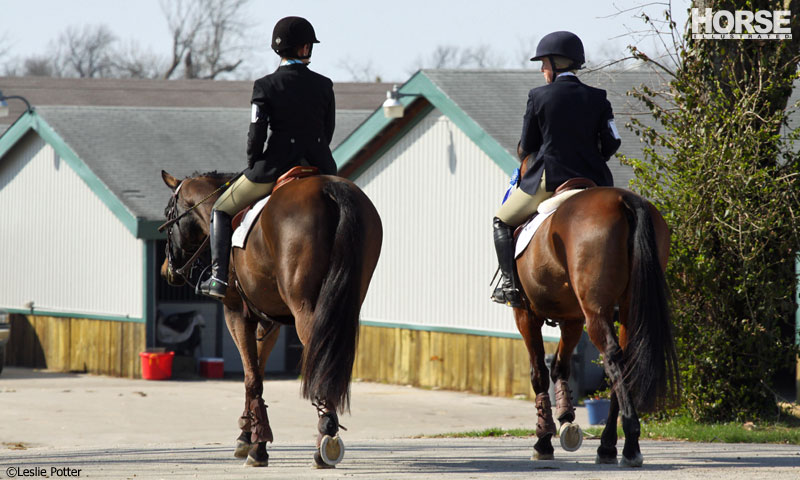 Horse Show Friends