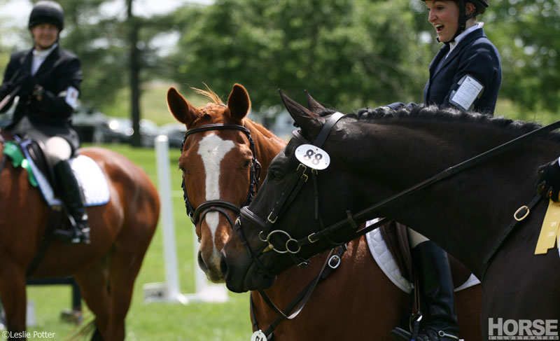 Horse Show Horse Show