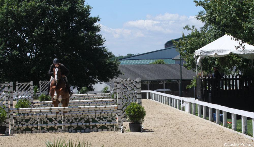 Horse Show Judge