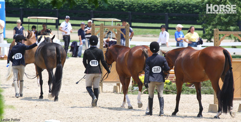 Horse Show Ponies