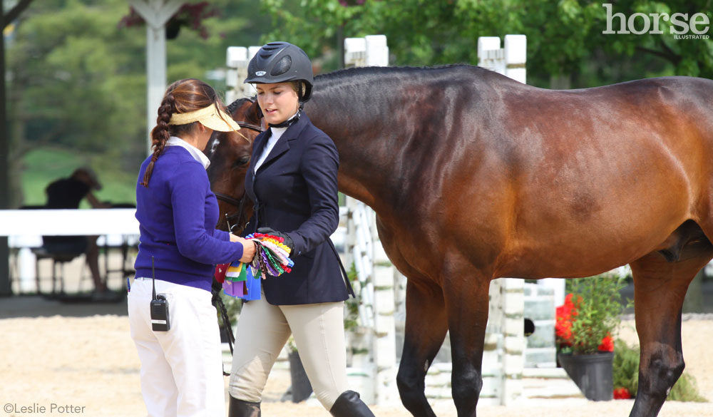 Horse Show Volunteer