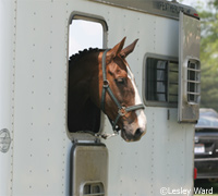 Horse trailer