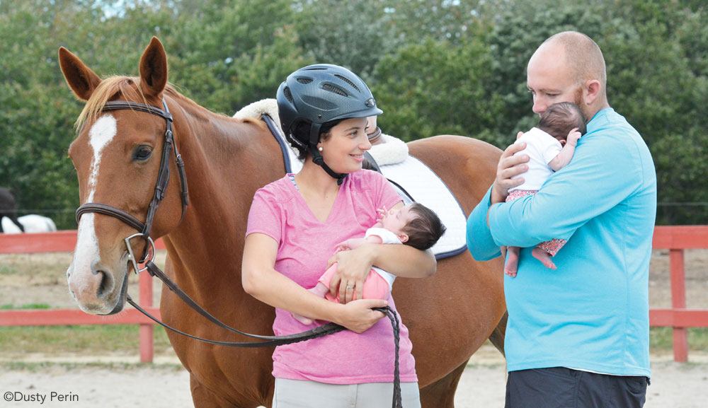 Horses and Babies