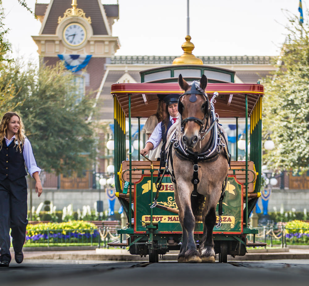 A horse drawn carriage on the streets of Disney