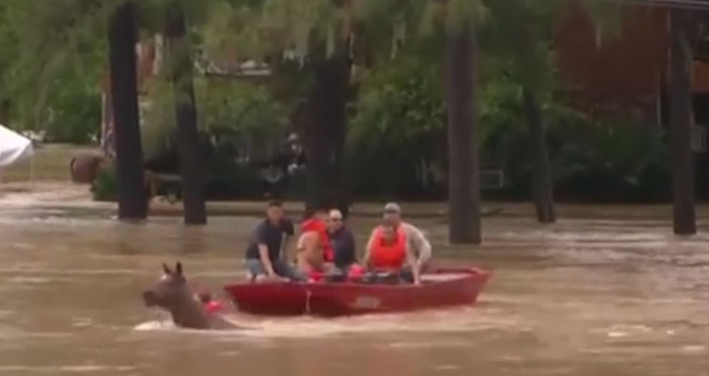 Houston Floods