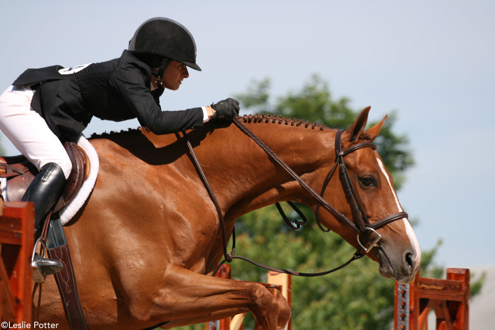 Horse Show Friends