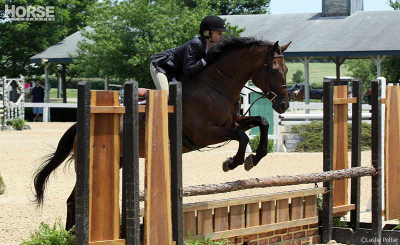 Hunter Show Hunter Show