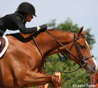 Intercollegiate equestrian hunt seat 