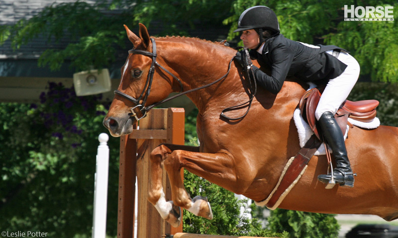A hunter/jumper going over a fence