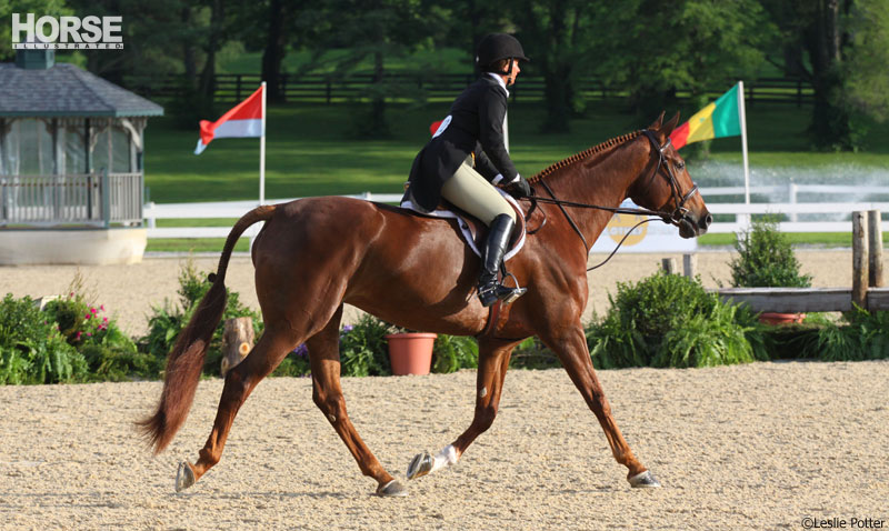 Hunter Derby Hunter Derby