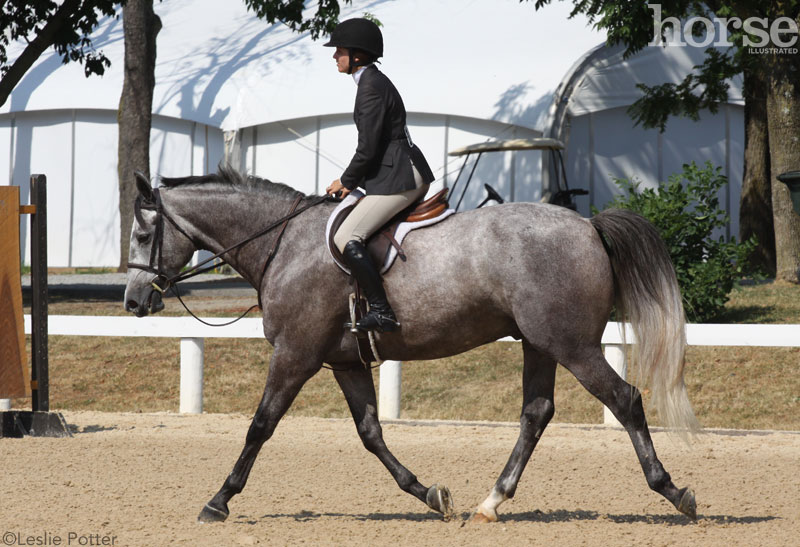 Hunt Seat Rider Hunt Seat Rider