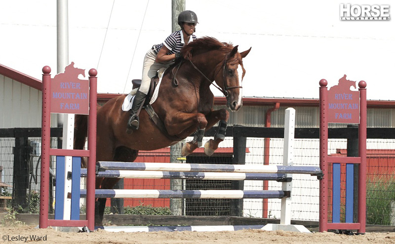 Hunter Schooling Hunter Schooling