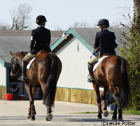 Horse show