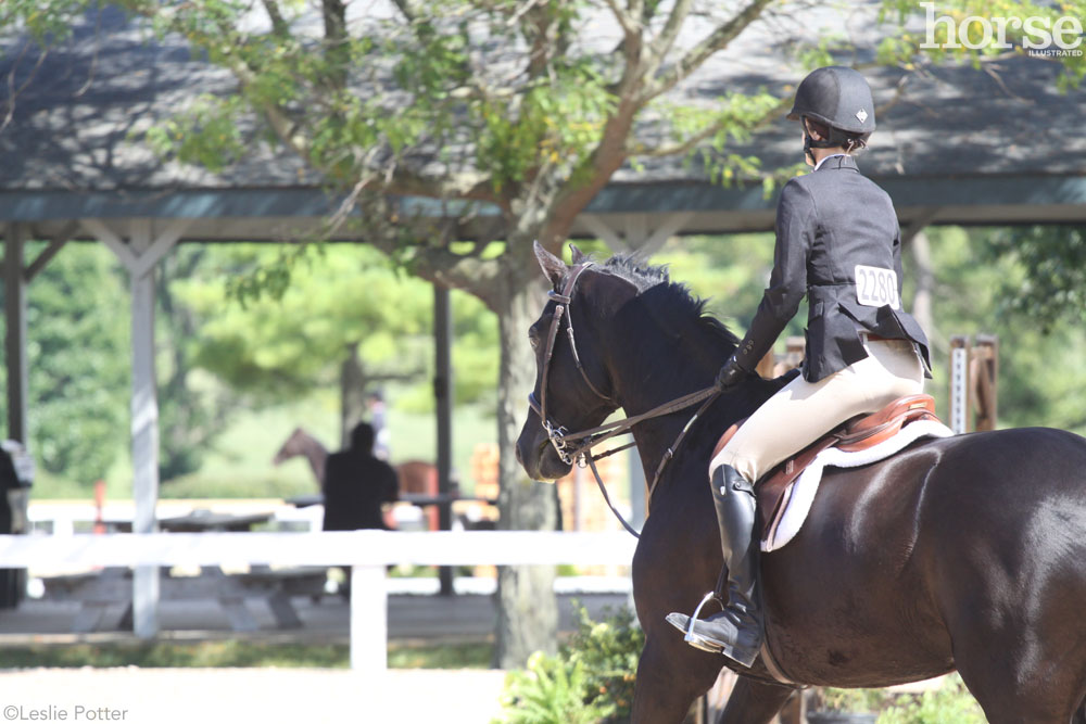 Horse Show Rider