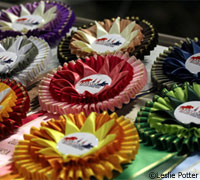 Intercollegiate Horse Show Association ribbons