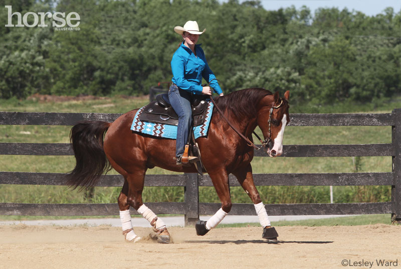 Western Saddle Pad