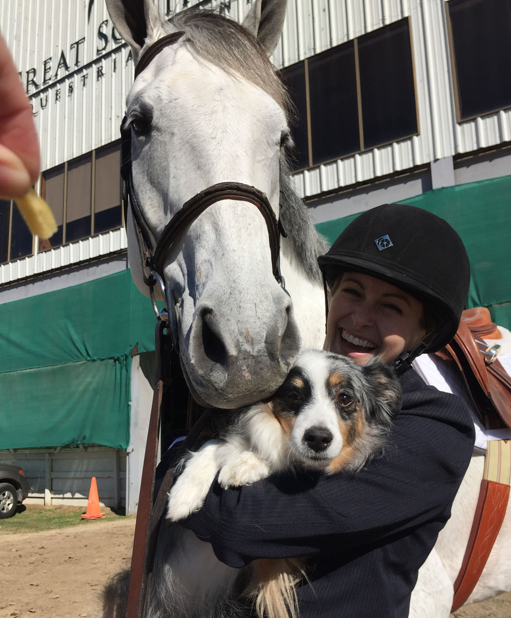 Horse and Dog