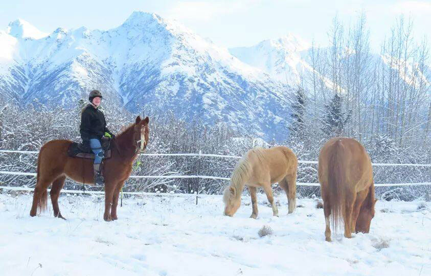 Winter Horses