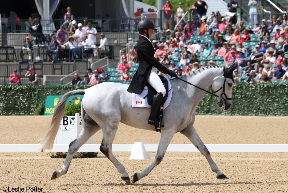 Rolex Dressage