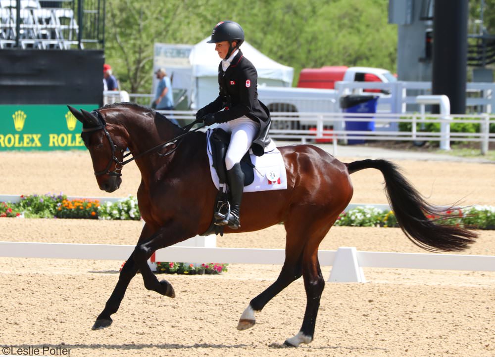 Rolex Dressage