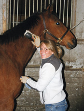 Grooming a horse at NARA