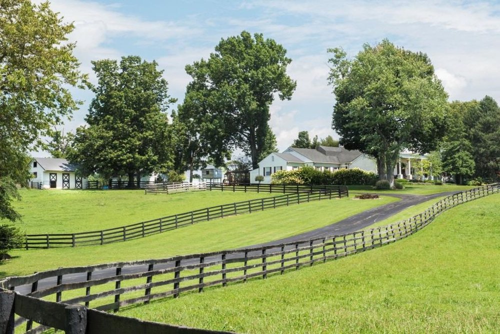 Betty Sue's Family Farm