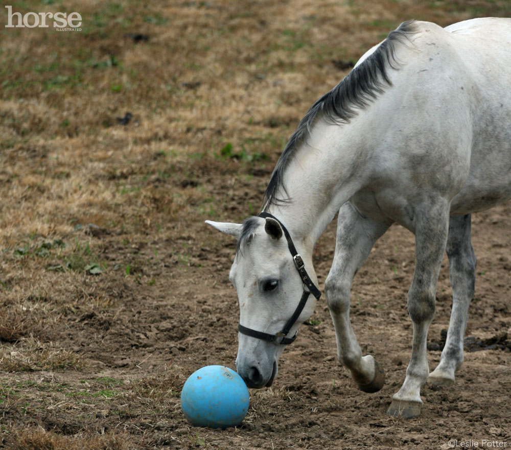 Jolly Ball