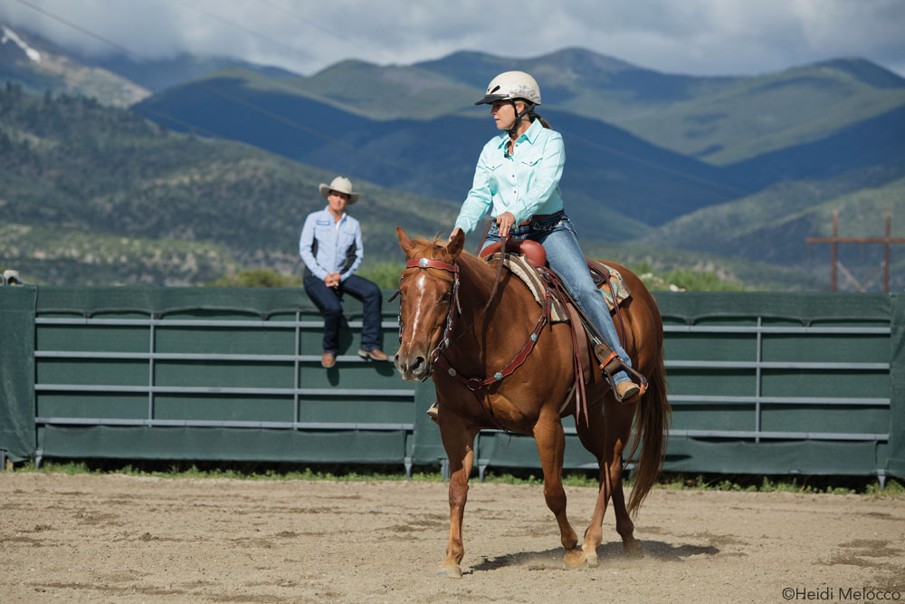 Julie Goodnight Training