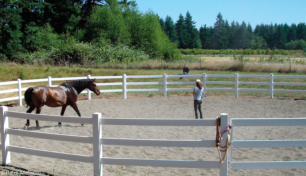 Round Pen