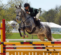 Gray jumper