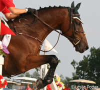 The UCHS is the oldest horse show in America, being over 150 years old