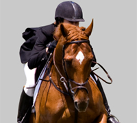 The 2011 National Horse Show will be held at the Kentucky Horse Park