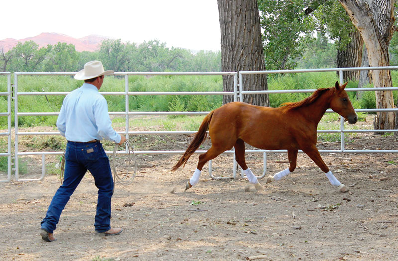 Ken McNabb and Horse in Round Pen