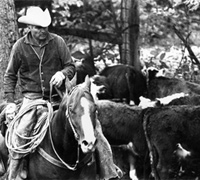 Kenneth Jackson, 2009 NCHA Hall of Fame inductee