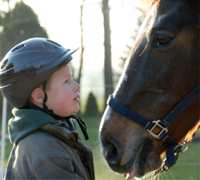 The HHRF granted awards to two facilities participating in equine hippotherapy