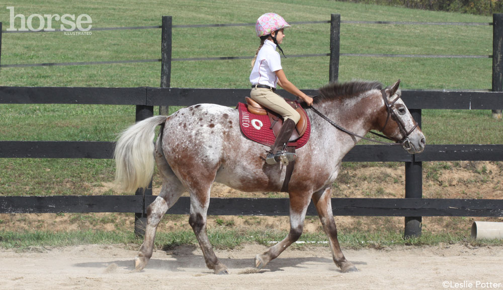 Kid and Pony