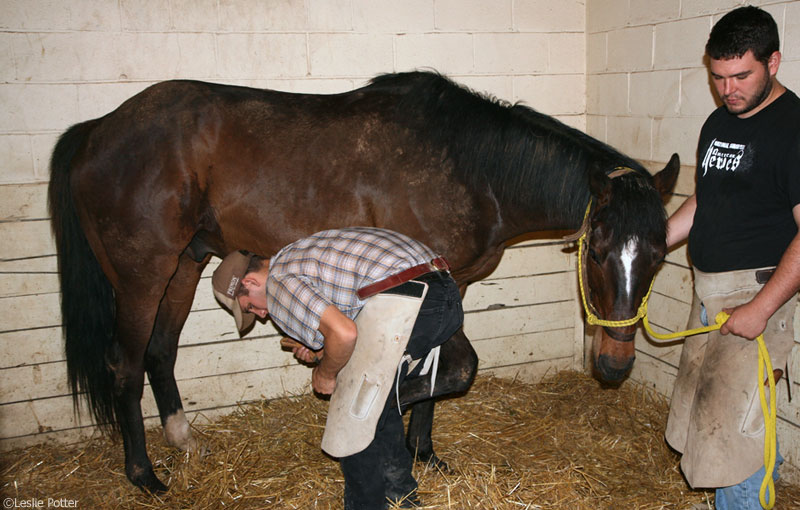 Farrier Students at the KyEHC