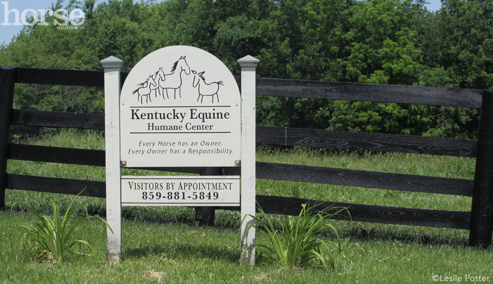 Kentucky Equine Humane Center