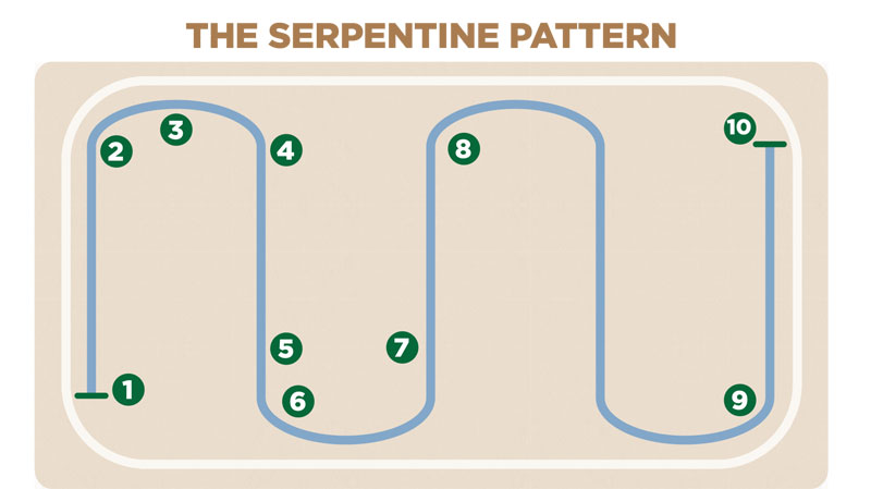 Serpentine